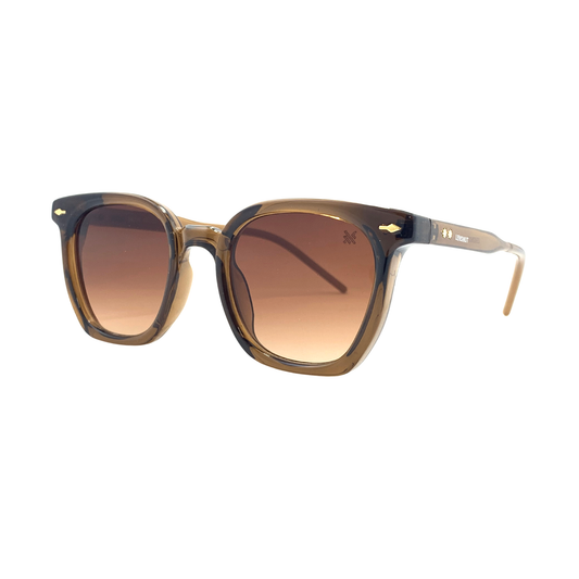 Essentials "Summer" Brown Square Unisex Sunglasses LN86338C248