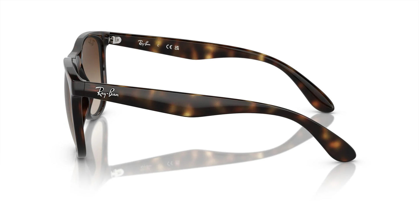 Eyewear by Lenstrack – premium lenses and flexible frames designed for all age ranges and face types.