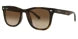 RAY-BAN Unisex Gradient Brown Havana Lens Square Sunglasses 0RB4420710/1365