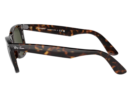 Lenstrack Eyewear collection featuring premium sunglasses, stylish eyeglasses, blue light blocking glasses, and kids’ flexible frames – modern lifestyle and fashion-forward eyewear for all ages