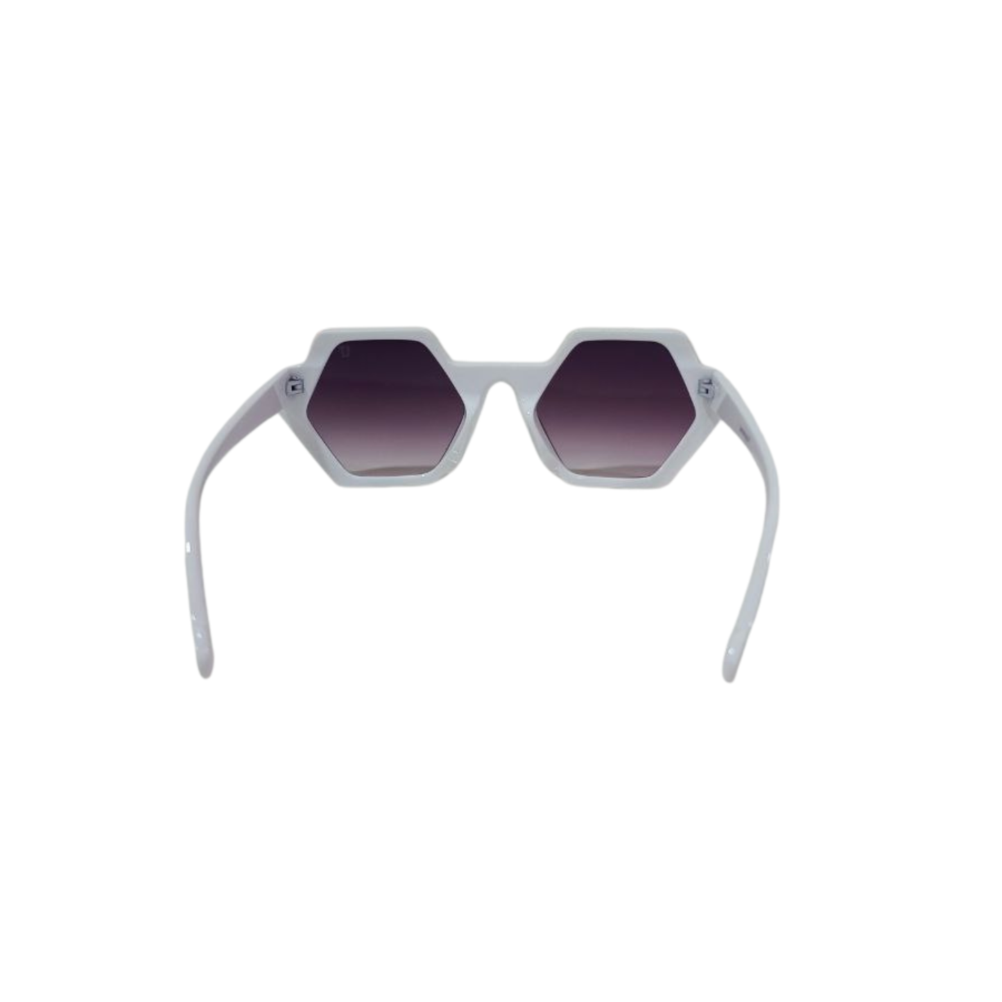 Essentials "Bhuvan" Hexagon Unisex Sunglasses Lt 12